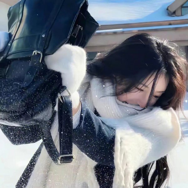 丫鬟不好惹