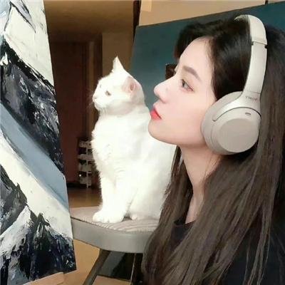 屏风美人